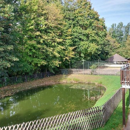 Ferienwohnung Teichblick Freiberg Bagian luar foto