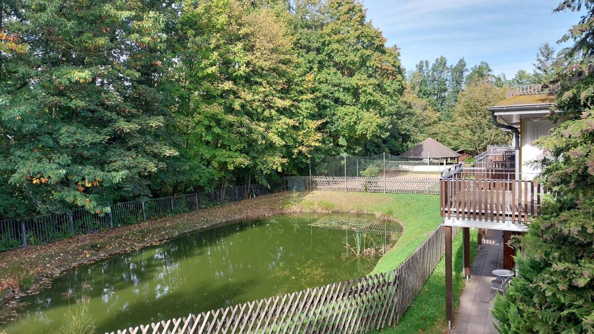 Ferienwohnung Teichblick Freiberg Bagian luar foto